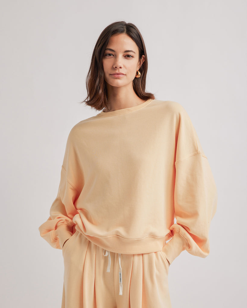 Collections – NYLORA